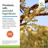 BosMed Respiratoire – utilisation quotidienne recommandée pour le confort des bronches.