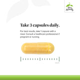 Terry Naturally boswellia: soutien des articulations avec extrait.