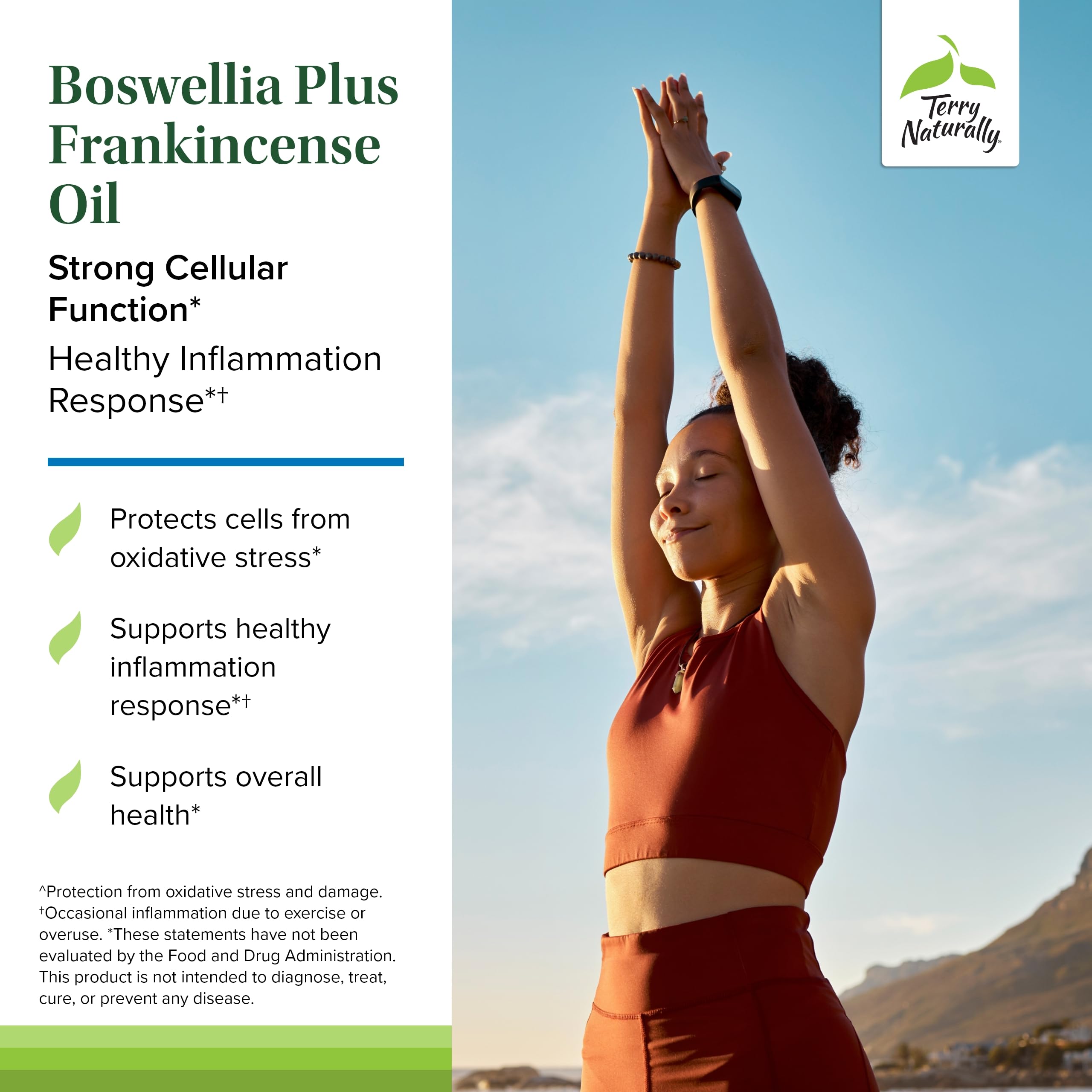 Gélules ouvertes Terry Naturally Boswellia Plus Frankincense Oil – aperçu de la texture et du dosage pratique.