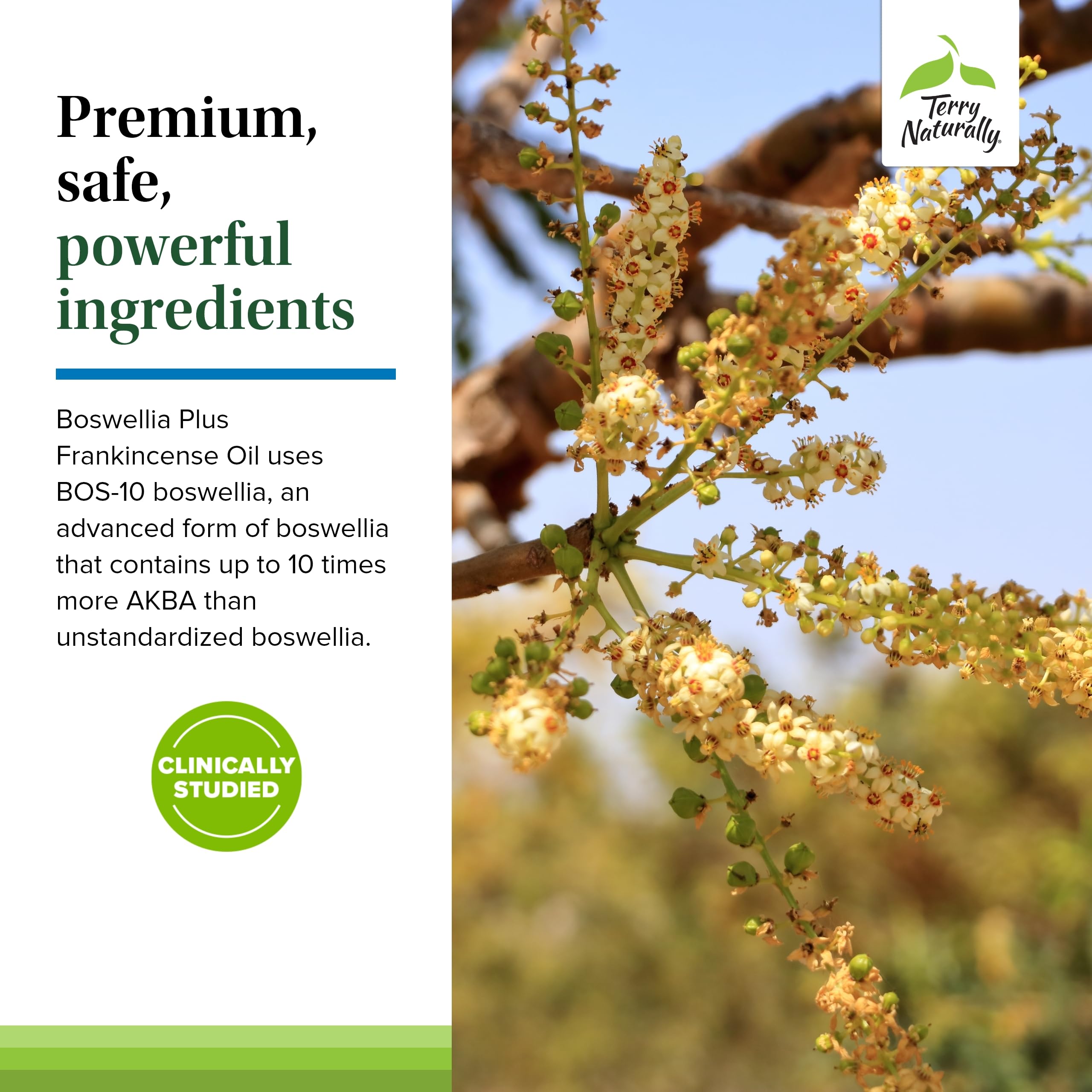 Mains manipulant les gélules Terry Naturally Boswellia Plus Frankincense Oil – dose quotidienne pratique.