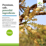 Mains manipulant les gélules Terry Naturally Boswellia Plus Frankincense Oil – dose quotidienne pratique.