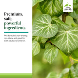 Feuilles de lierre Hedera helix utilisées dans Bronchial Clear