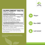 Terry Naturally Capsules Extrait d’Olive EP20 — capsules faciles à avaler pour une routine simple.