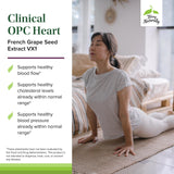 Terry Naturally OPC Heart, etiquette-ingredients: ingrédients clés, comme magnésium et B6.