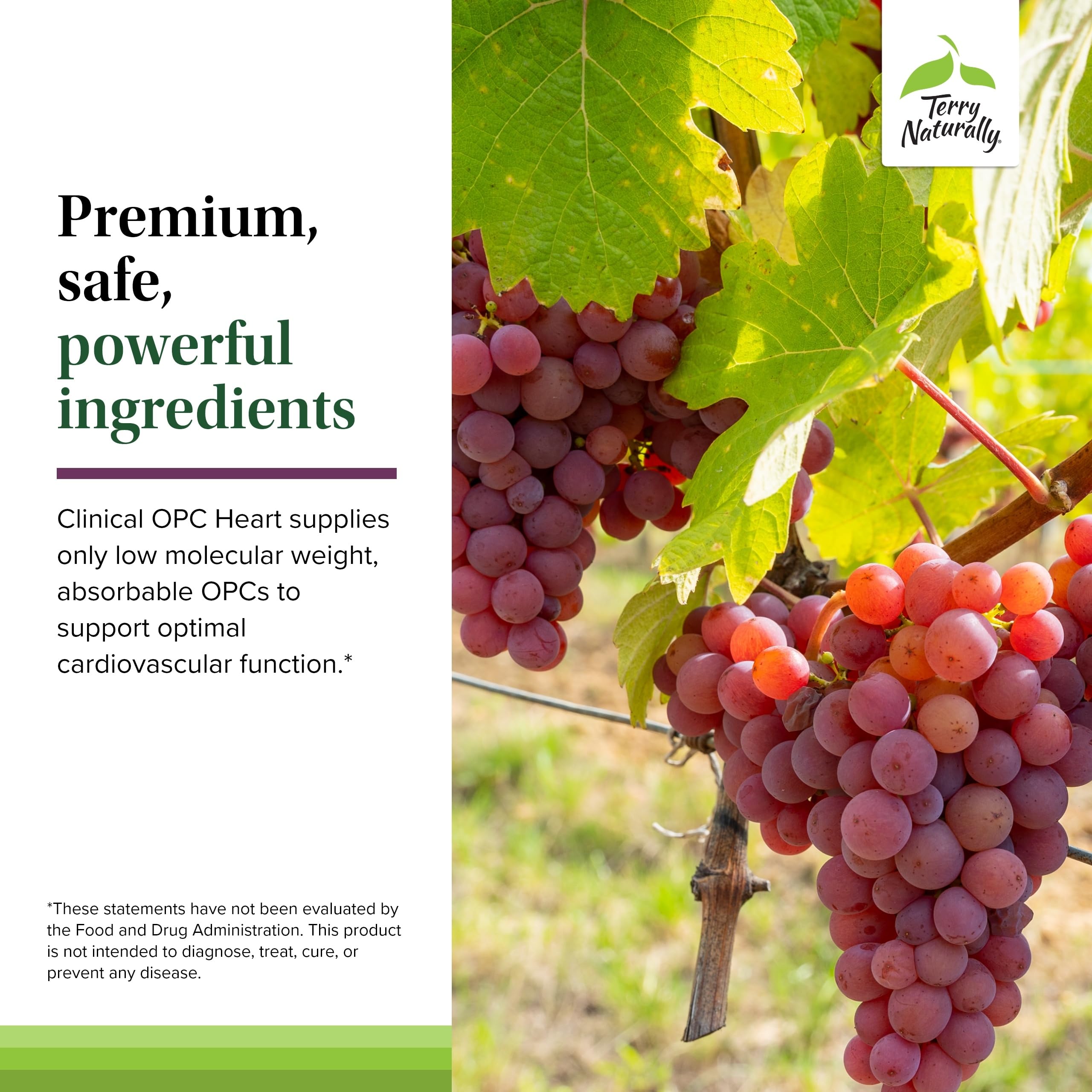 Terry Naturally OPC Heart, extrait-de-pepins-de-raisin: présence d’extrait de raisin pour le soutien vasculaire.