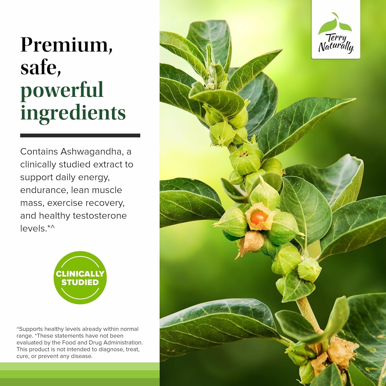 Terry Naturally Complete Testosterone Support – DIM pour le soutien hormonal masculin.