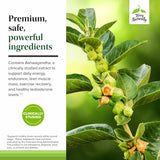 Terry Naturally Complete Testosterone Support – DIM pour le soutien hormonal masculin.