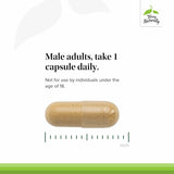 Terry Naturally Complete Testosterone Support – zinc absorbable soutient la récupération et la fonction prostatique.