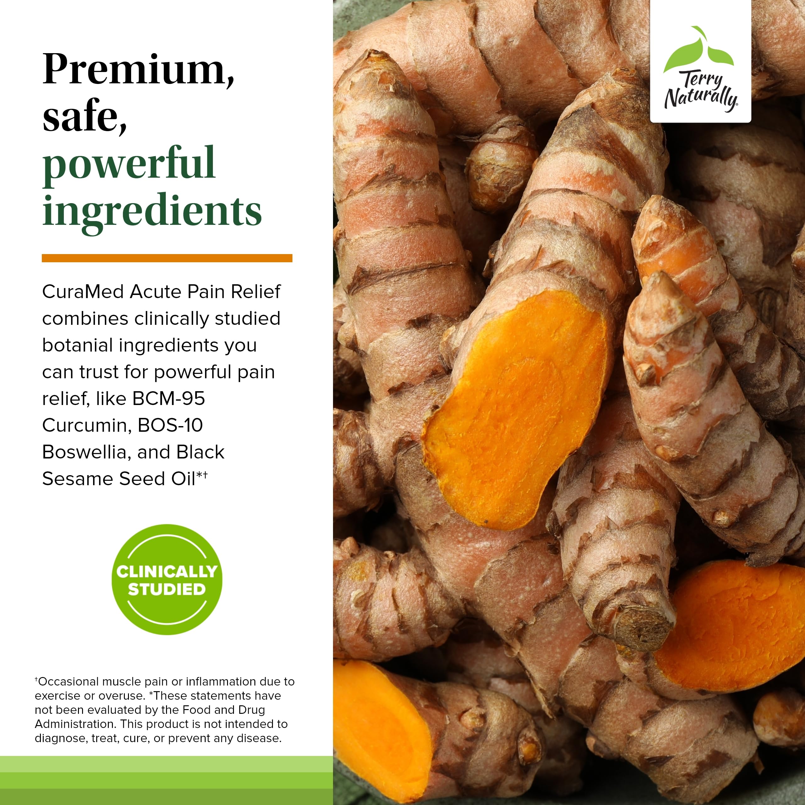 CuraMed de Terry Naturally – extrait BCM-95 curcumin et Boswellia BOS-10