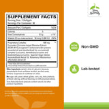 Terry Naturally CuraMed Brain gros plan sur les gélules pour absorption potentielle