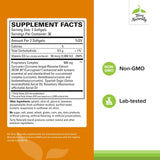 Terry Naturally CuraMed Brain – Softgels faciles à avaler pour soutenir l'attention quotidienne.