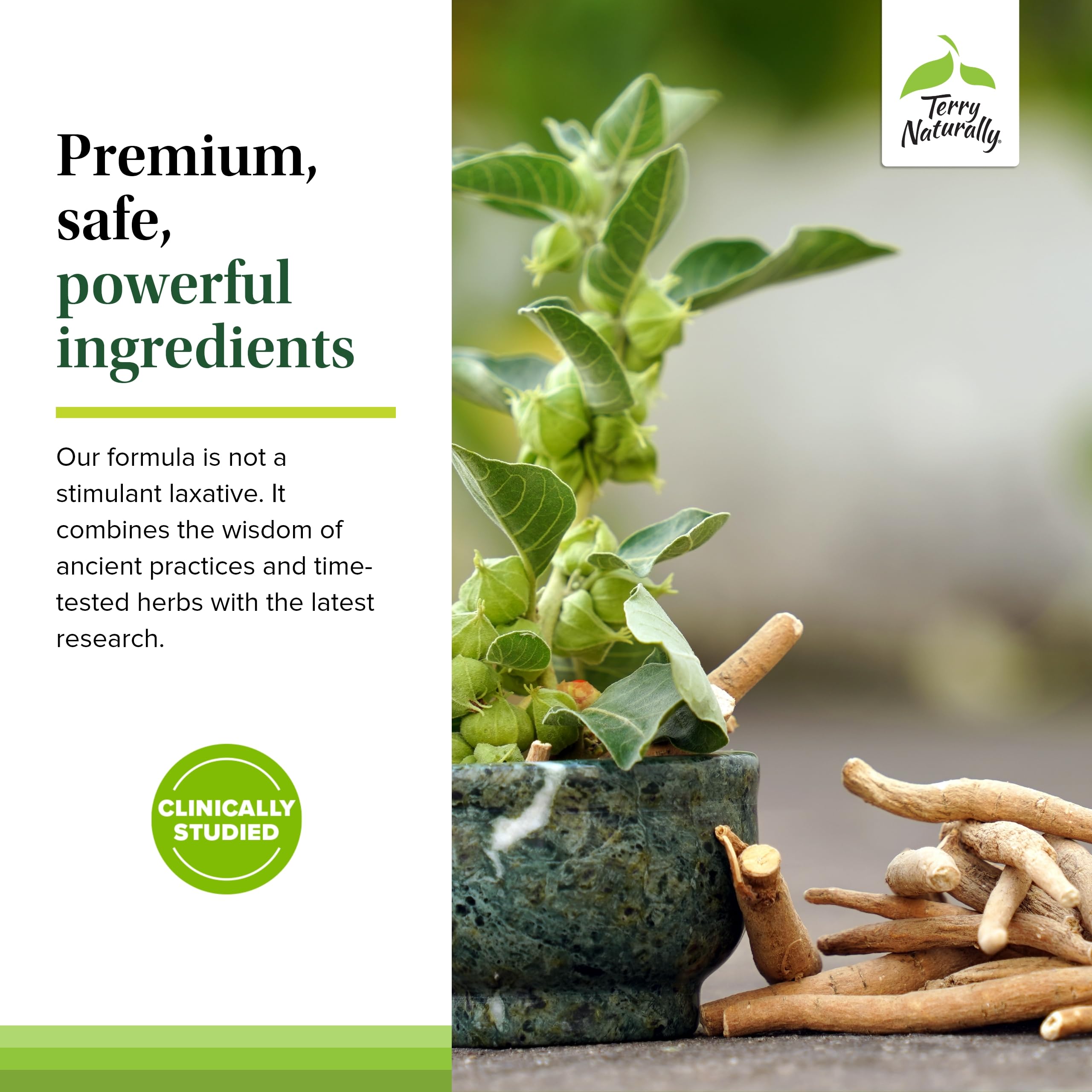 Terry Naturally Digestive Formula – conditionnement 60: format pratique pour une routine quotidienne.