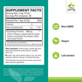 Terry Naturally Bronchial Clear Liquid – dose-cuillere facilitant le dosage quotidien.