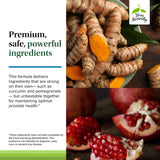 Extrait de pépins de raisin Terry Naturally, antioxydants naturels.
