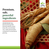 Étiquette végan HRG80, ginseng rouge, formulation sans allergènes pour tous.