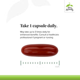 Terry Naturally OPC Extra Strength, boîte d’emballage visible et informative.