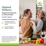 Terry Naturally Optimal Wellness: curcumine pour foie et bien-être cérébral.