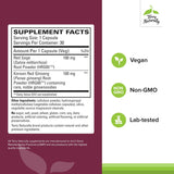 Terry Naturally Red Sage Plus — capsules visibles, pratique quotidienne pour énergie soutenue.