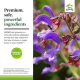 Terry Naturally Red Sage Plus — dose quotidienne facile pour le rythme journalier.