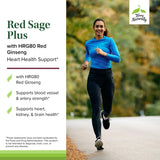 Terry Naturally Red Sage Plus — étiquette détaillée et HRG80 ginseng rouge pour énergie potentielle.
