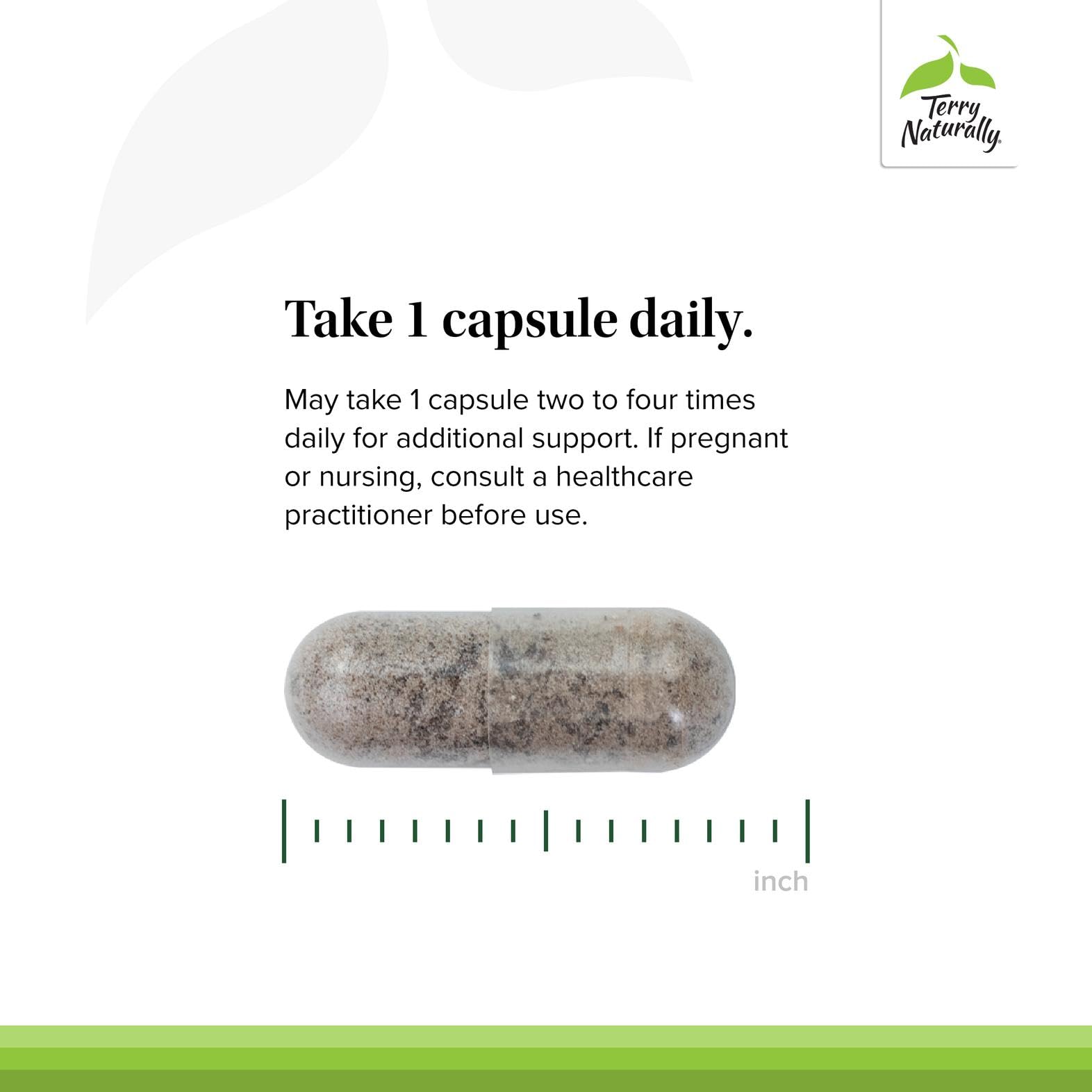 Terry Naturally Red Sage Plus — tableau de composition sans sucre ni additifs.