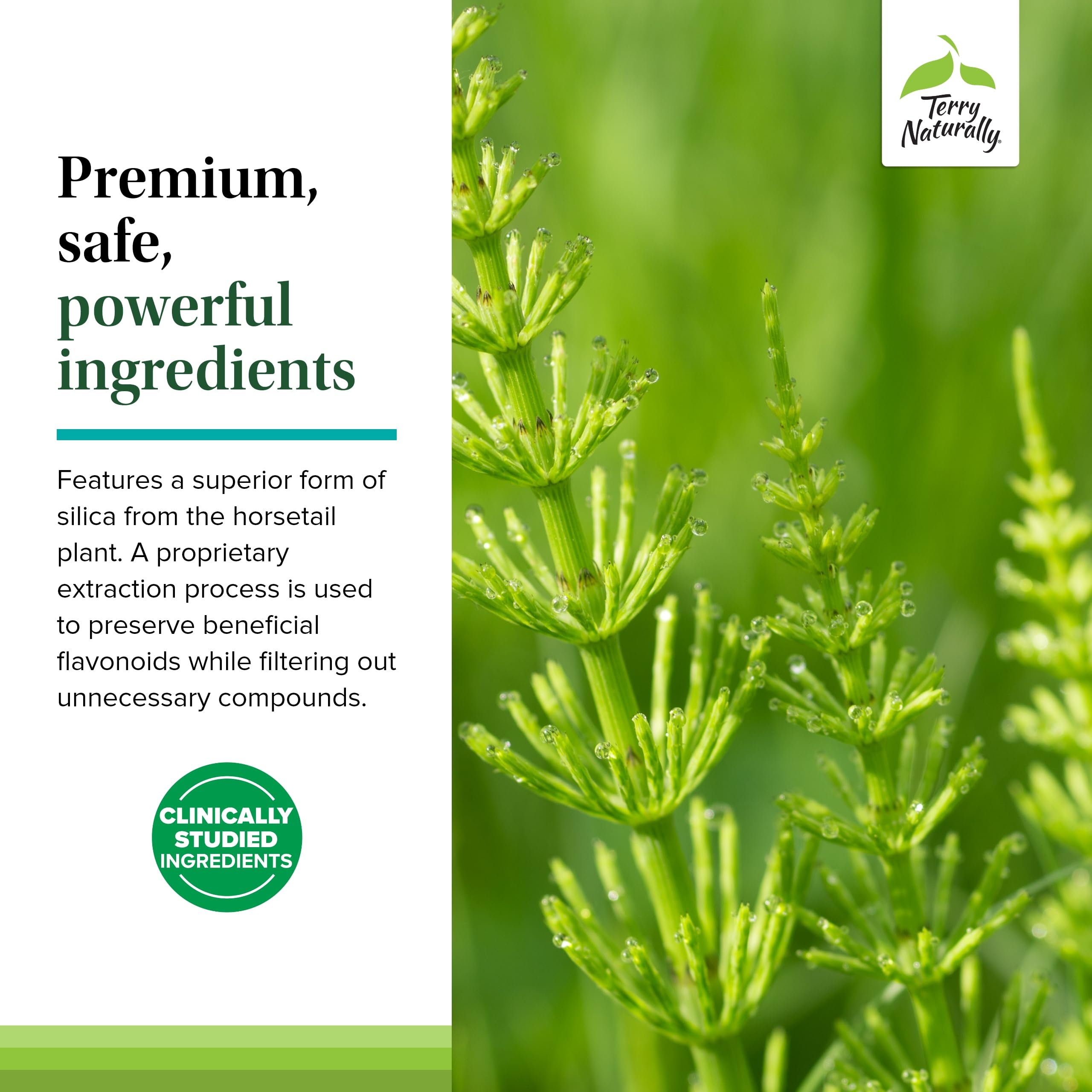 Terry Naturally Silica-20, routine matin, bénéfice potentiel pour cheveux, ongles et peau.