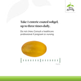 Terry Naturally SinuCare Haute Concentration, eucalyptus et myrte, formulation respiratoire naturelle.
