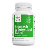 Terry Naturally Stomach et Intestinal Relief sur bouteille, soutien potentiel au confort digestif quotidien.