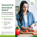 Terry Naturally Stomach et Intestinal Relief – étiquette, information produit fiable.
