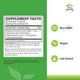 Terry Naturally Stomach et Intestinal Relief – capsules, utilisation quotidienne potentiellement apaisante.