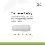 Terry Naturally Strontium, complément Silica-2 pour soutien osseux global.