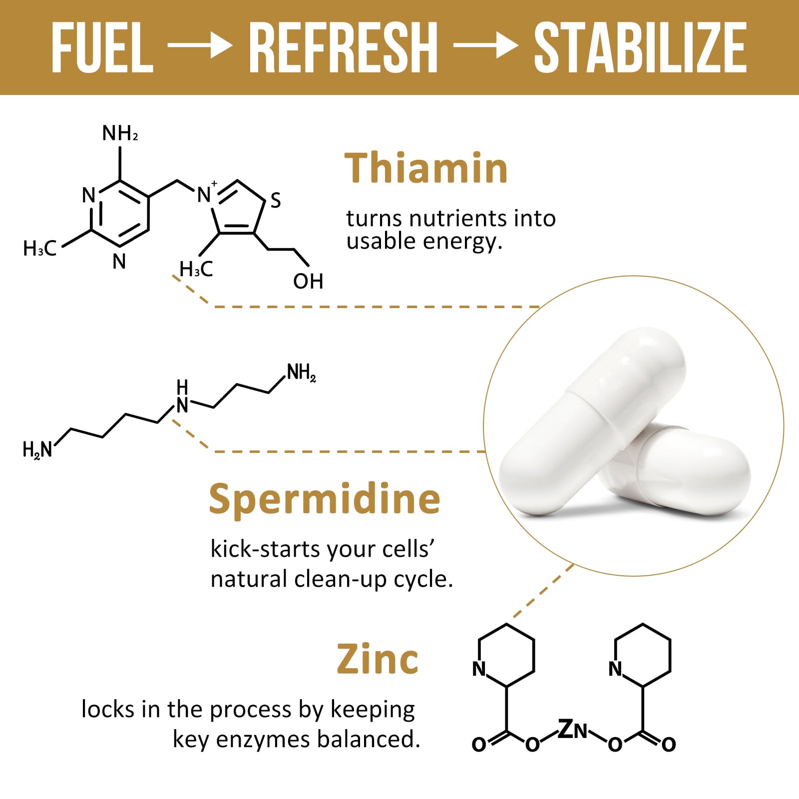 Thalacy Spermidine: étiquette et emballage de qualité, transparence sur les ingrédients.