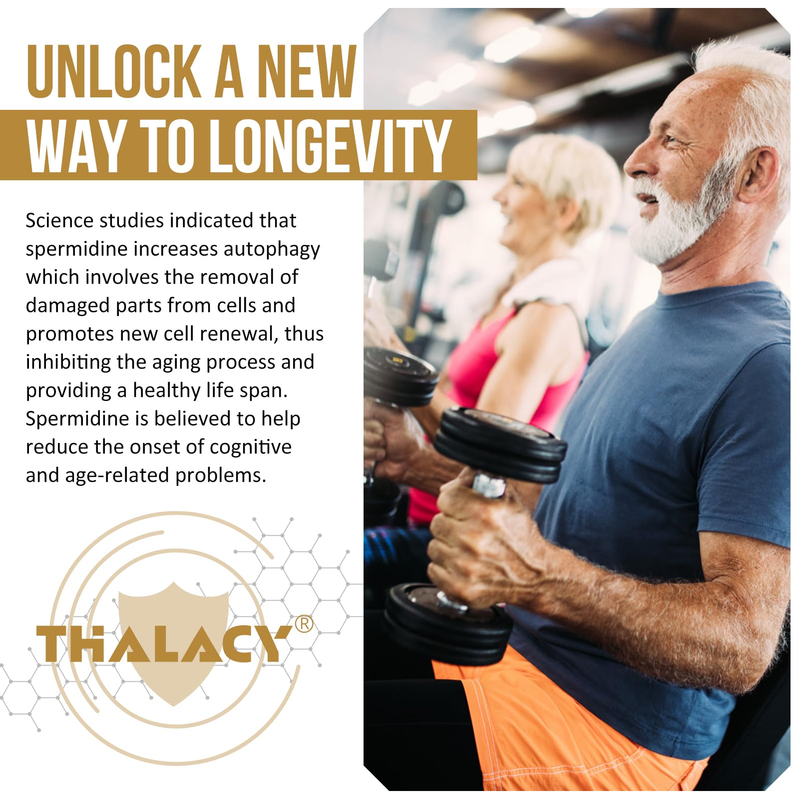 Thalacy Spermidine: utilisation quotidienne pour le bien-être général.