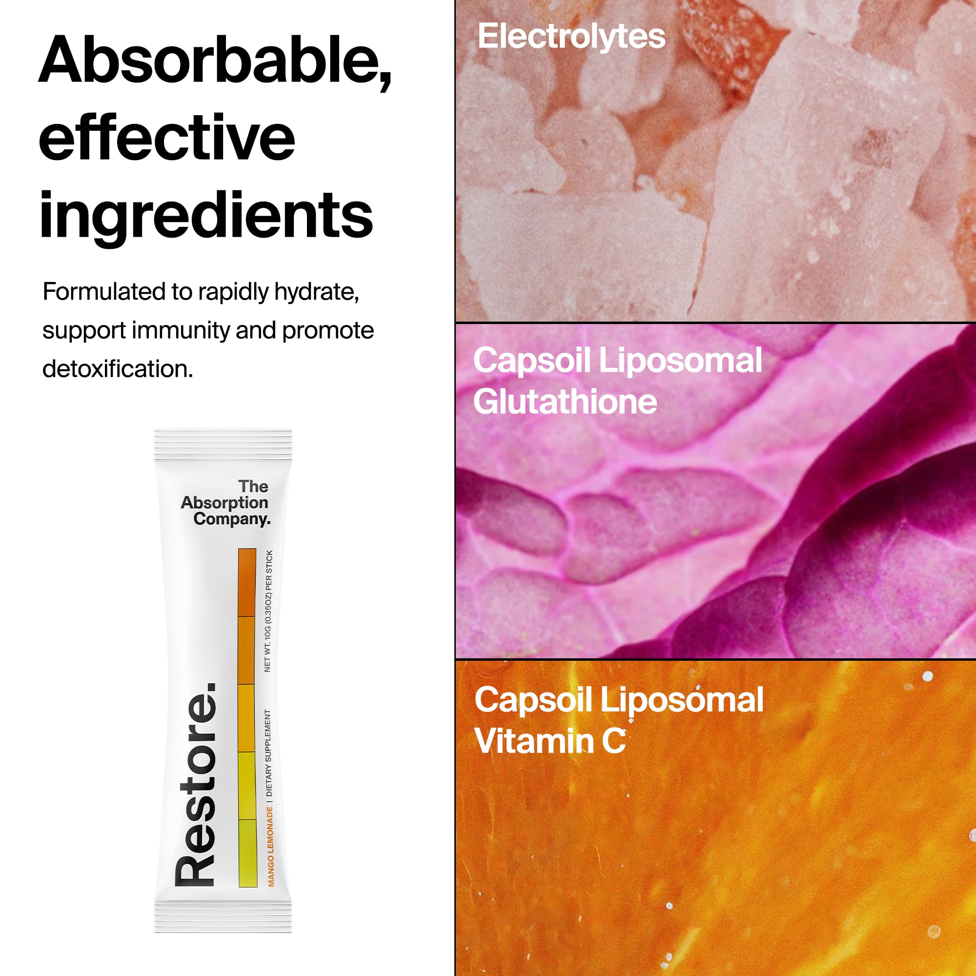 The Absorption Company – vitamine C liposomale pour énergie et clarté.
