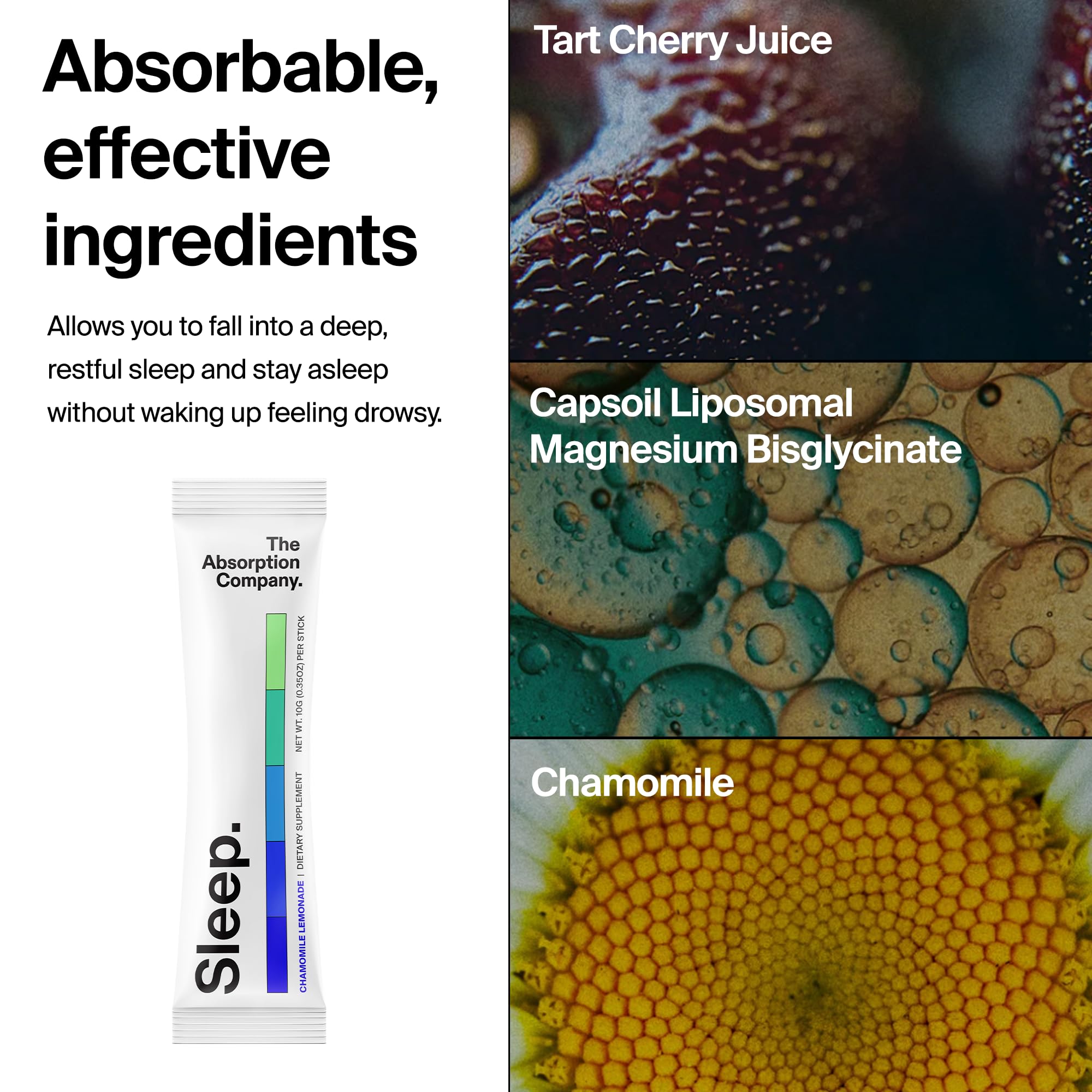 The Absorption Company Sleep Aid Poudre, magnésium bisglycinate liposomal, aide à l hydratation nocturne