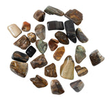 The Chrysalis Stone – Bois pétrifié; méditation et ancrage