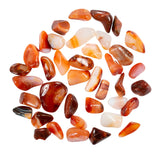 The Chrysalis Stone Carnelian – assortiment varié dans un bol pour méditation et focus