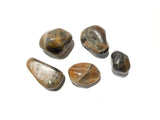 The Chrysalis Stone — pierre noire naturelle pour chakra racine.