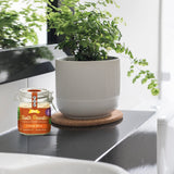 The Dirt – Poudre dentaire sans gluten, adaptée aux consommateurs sensibles.