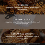 The Genius Brand Test Black Label – Ginseng coréen rouge pour concentration et vitalité.