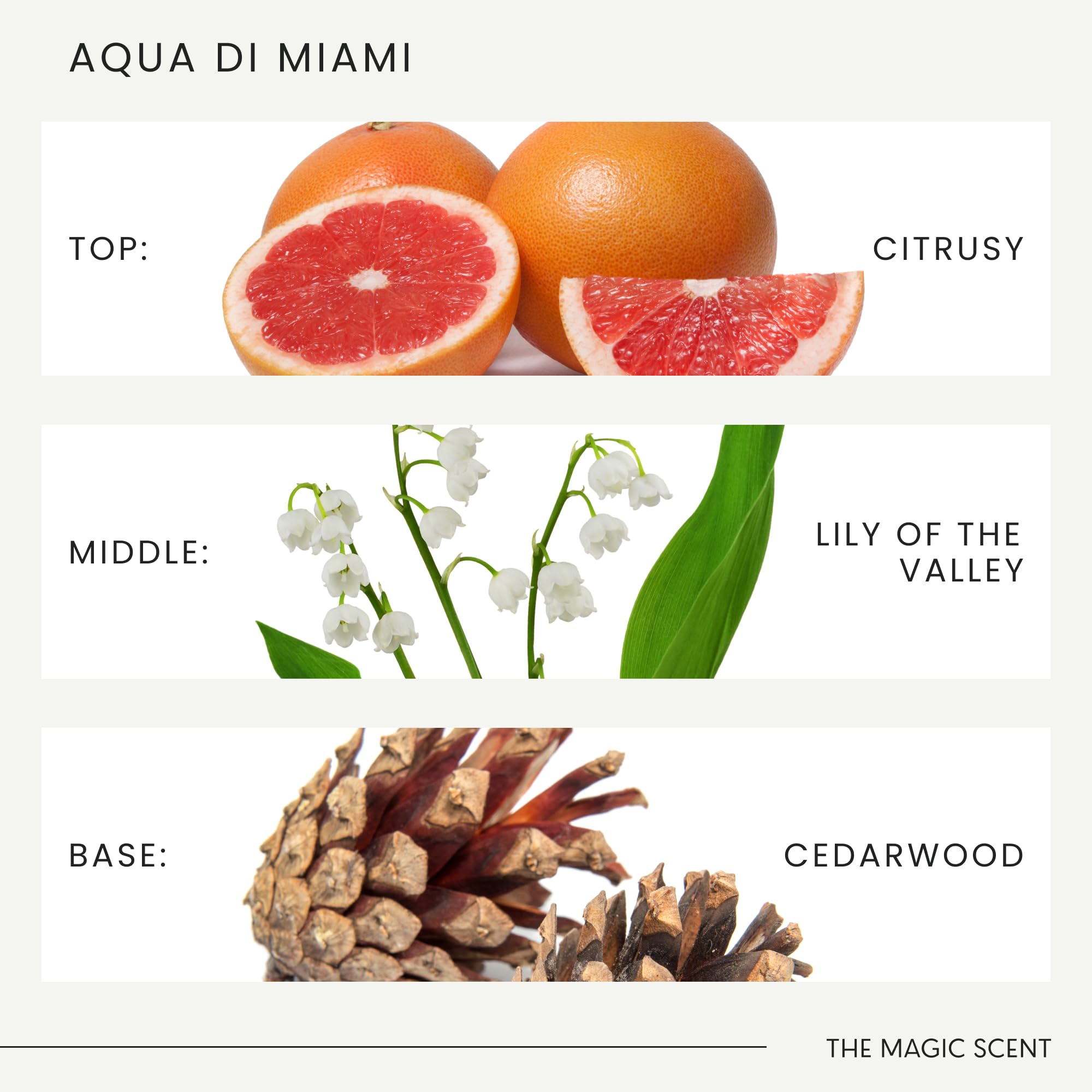 THE MAGIC SCENT Aqua di Miami, parfum vegan et hypoallénique pour sécurité familiale.