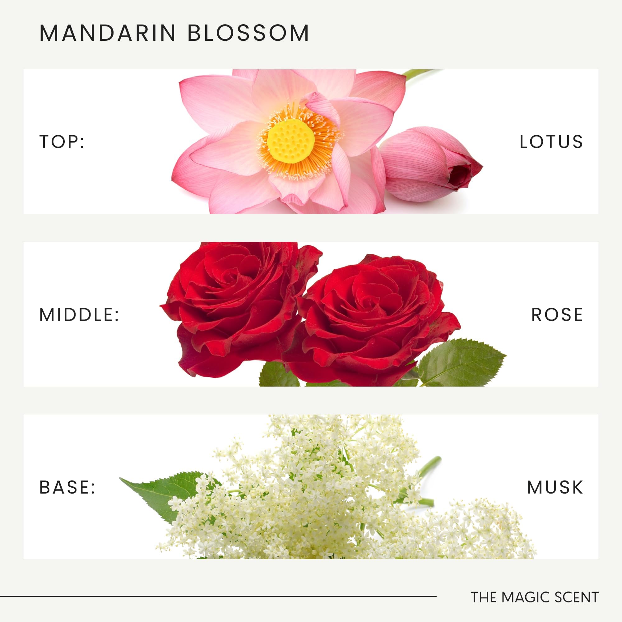 The Magic Scent Mandarin Blossom – notes olfactives distinctes pour une atmosphère raffinée.