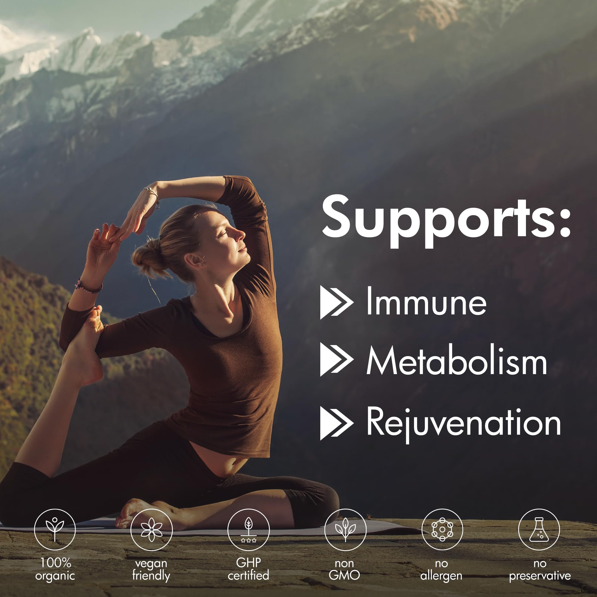THE MONK Shilajit en déplacement, énergie ponctuelle pour les journées chargées.
