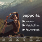 THE MONK Shilajit en déplacement, énergie ponctuelle pour les journées chargées.