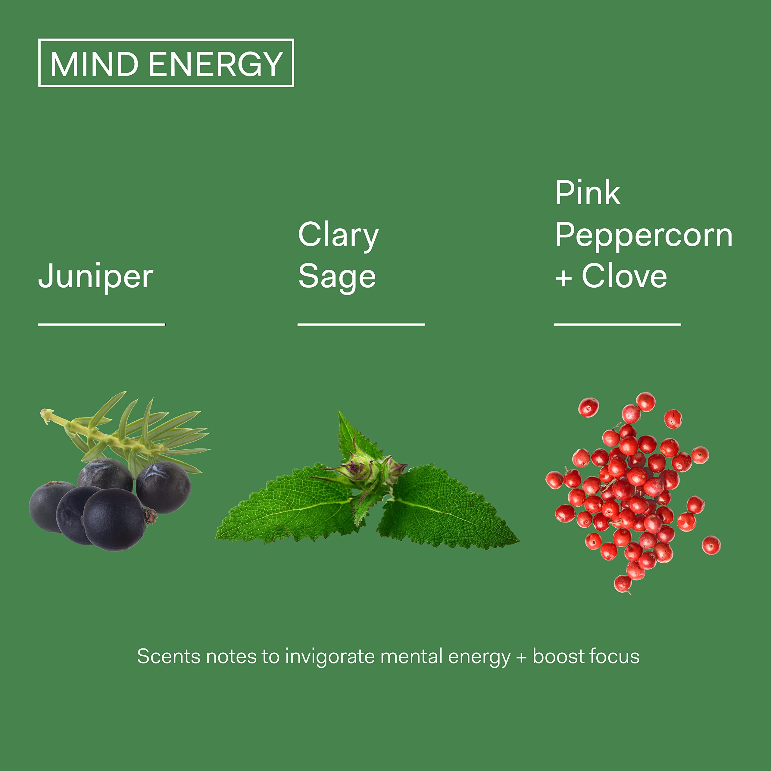 Le design moderne de The Nue Co Mind Energy s intègre au rituel.