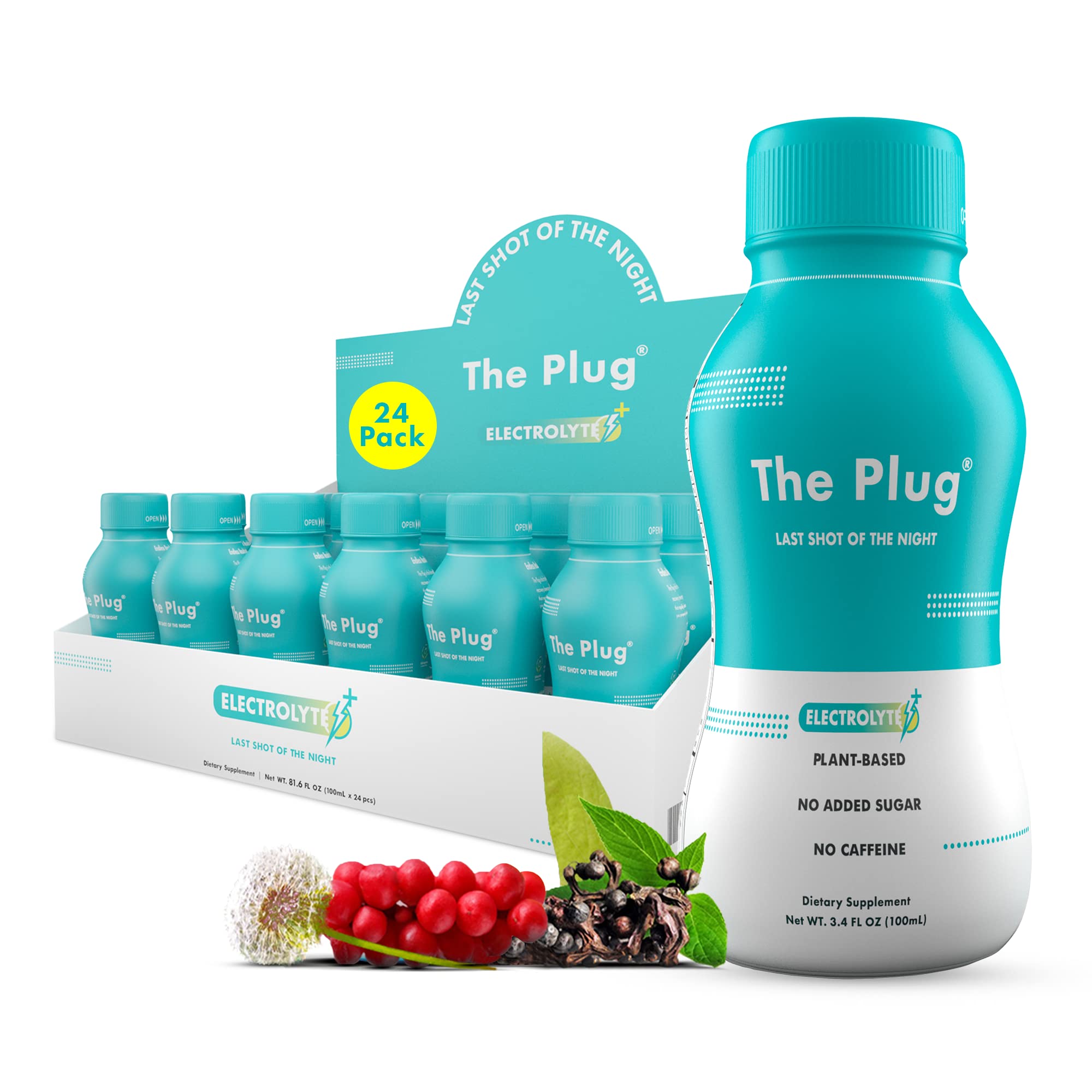 The Plug Hydration: bouteille versée, énergie naturelle et hydratation
