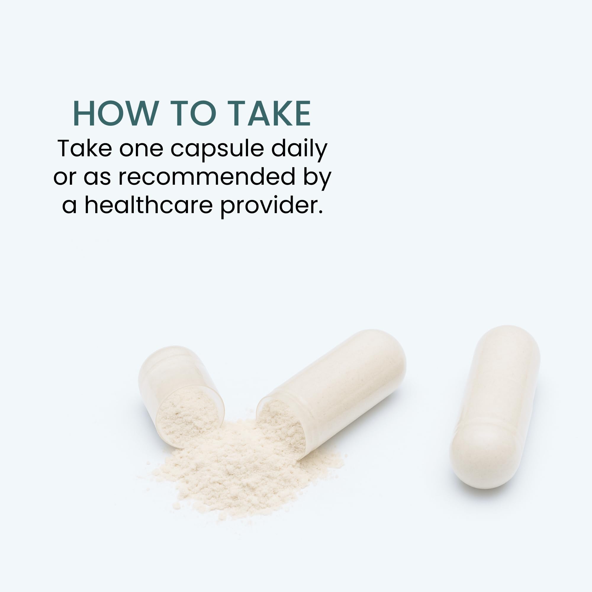 The Wellness Company Appetite : capsules visibles pour le contrôle des envies.