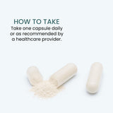 The Wellness Company Appetite : capsules visibles pour le contrôle des envies.