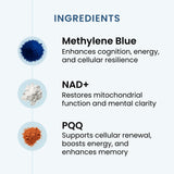 Recharge The Wellness Company, capsules faciles, soutien potentiel à l'énergie cellulaire.