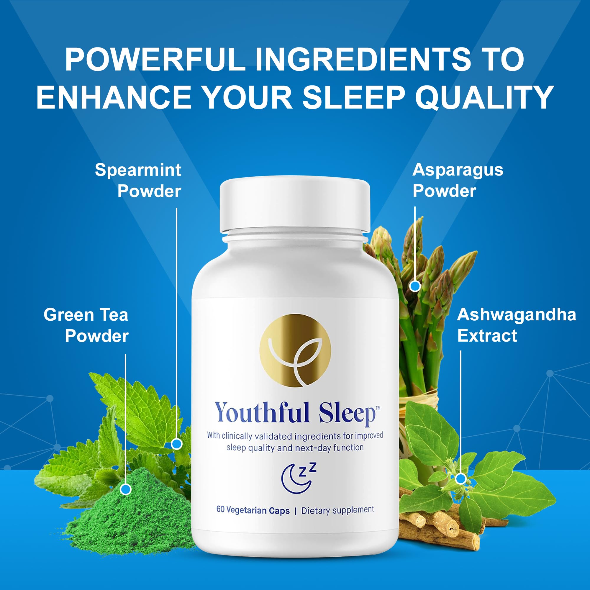 The Youthful Company – gros-plan-capsules-sommeil: gros plan sur les capsules et leur usage quotidien.